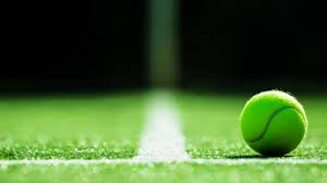 Optic-yellow tennis ball resting on a freshly mown grass court beside a baseline.